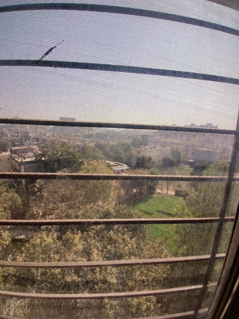 WhatsApp Image 2026-02-20 at 10.18.54 AM